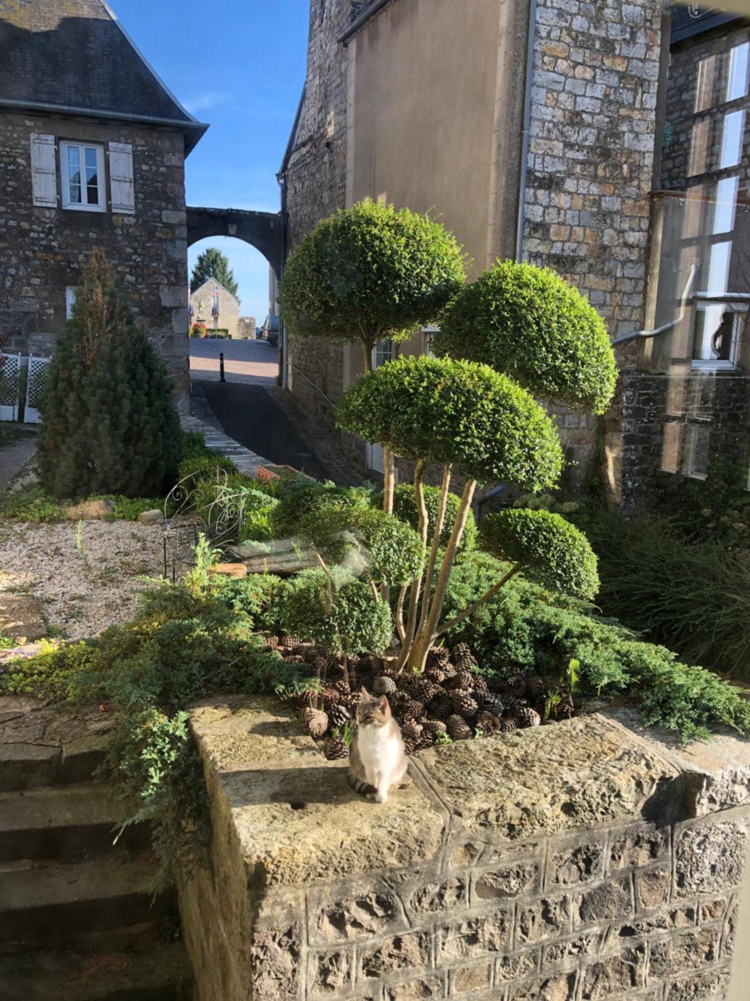 La Maison Sur Les Remparts Domfront  Exterior photo